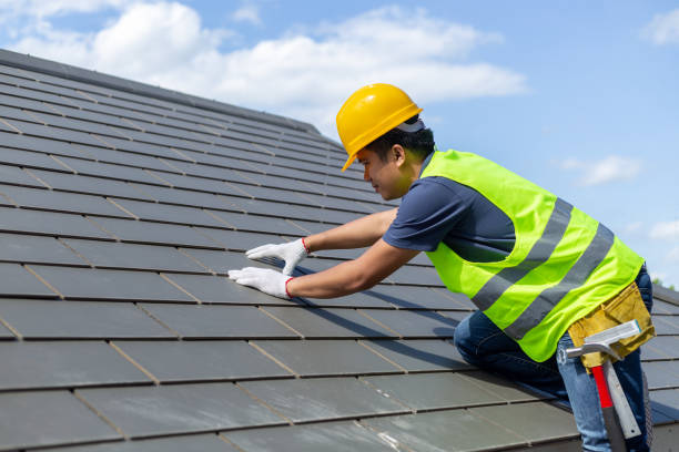 Best Roof Gutter Cleaning  in Vinton, VA